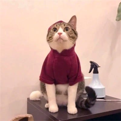 Gaming Queen avatar